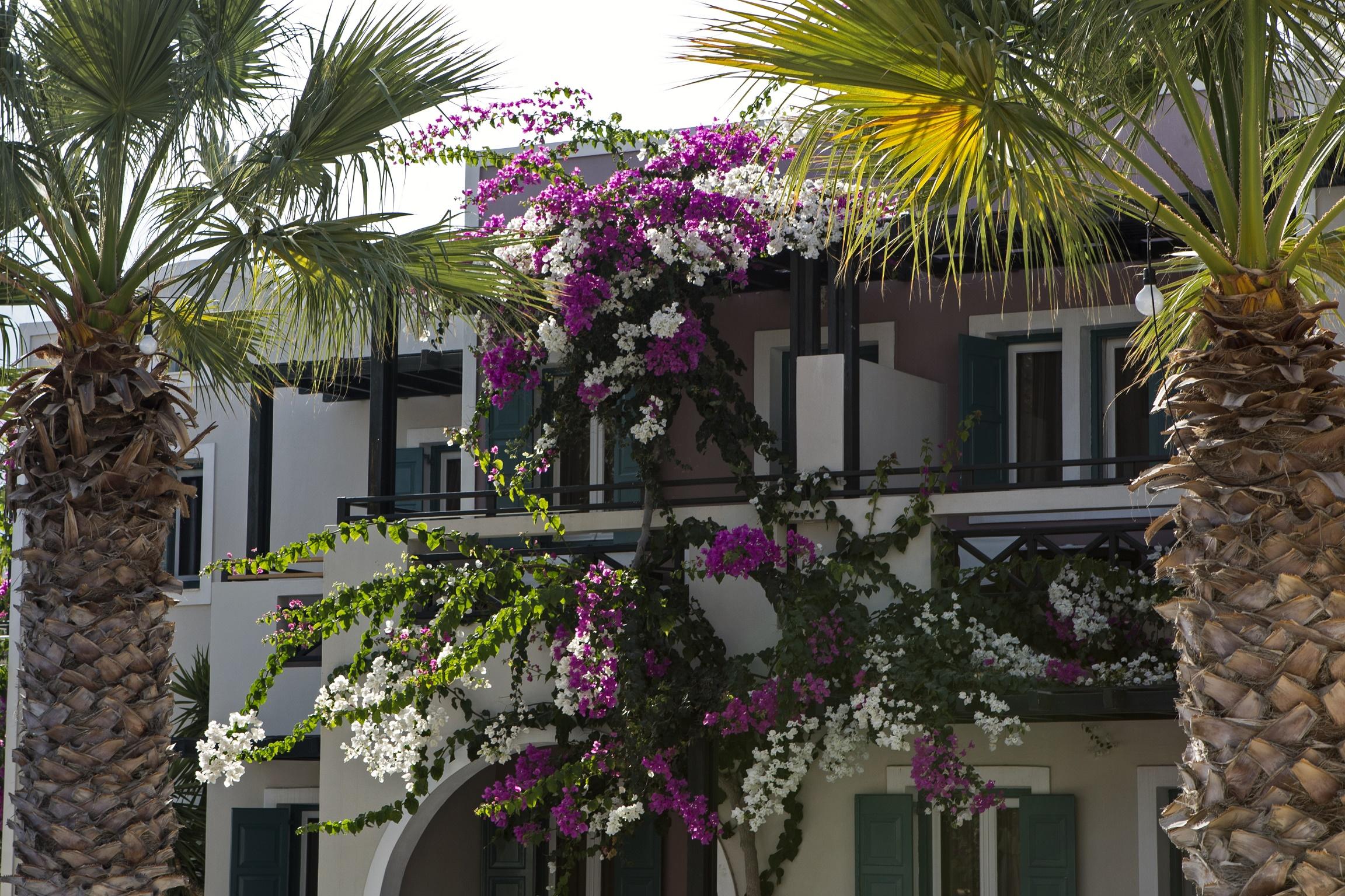 Rose Bay Hotel Kamari  Luaran gambar