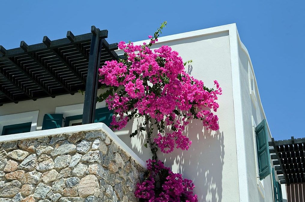 Rose Bay Hotel Kamari  Luaran gambar
